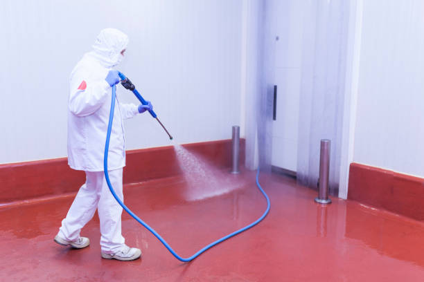 Paint Preparation in Hughes Springs, TX