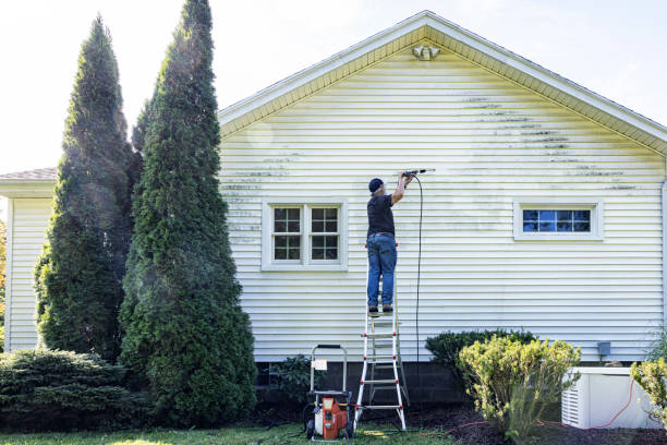 Best Sidewalk and Walkway Cleaning  in Hughes Springs, TX